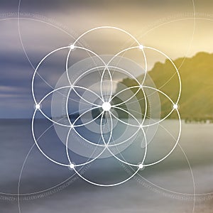 Flower of life - the interlocking circles ancient symbol. Sacred geometry. Mathematics, nature, and spirituality in nature. Fibona