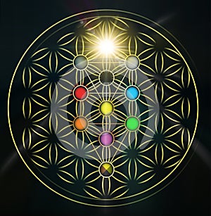 Flower of life with Kabbalah tree of life, Judaism