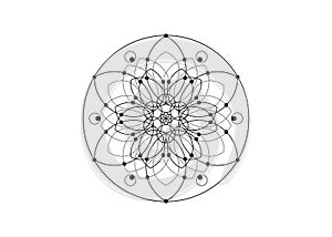 Flower of Life line art symbol Sacred Geometry. Geometric mystic mandala of alchemy esoteric Seed of life. Vector black line logo