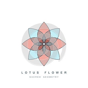 Flower of life or lotus flower, sacred geometry