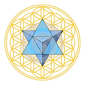 Flower of Life with Merkaba, star tetrahedron in the center of ancient symbol