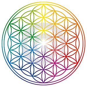 Flower of Life in rainbow colors