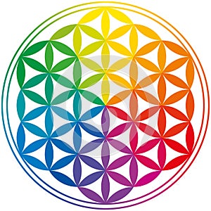 Flower Of Life Rainbow Colors