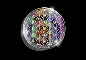 Flower of life rainbow colors on black background