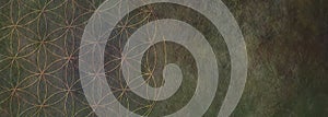 Flower of Life Rustic Stone Background -