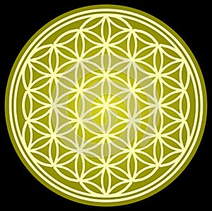 FLOWER OF LIFE sacred geometry