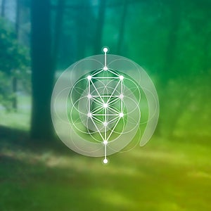 Flower of life sacred geometry illustration with intelocking circles and light dots in front of photographic background. Hipster