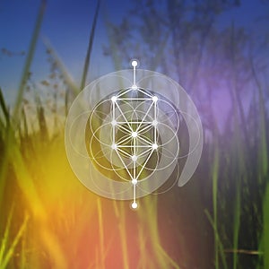 Flower of life sacred geometry illustration with intelocking circles and light dots in front of photographic background. Hipster