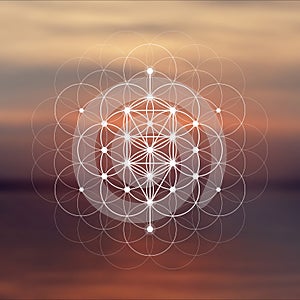 Flower of life sacred geometry illustration with intelocking circles and light dots in front of photographic background. Hipster