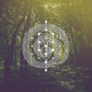 Flower of life sacred geometry illustration with intelocking circles and light dots in front of photographic background