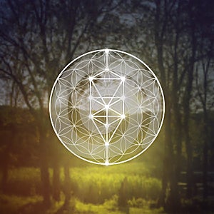 Flower of life sacred geometry illustration with intelocking circles and light dots in front of photographic background