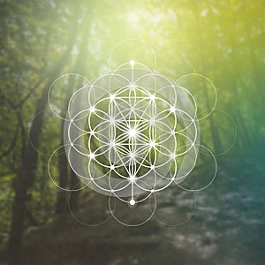 Flower of life sacred geometry illustration with intelocking circles and light dots in front of photographic background. Hipster