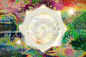 Flower of life sacred geometry mandala spiritual art