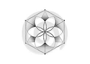 Flower of Life. Sacred geometry, Symbol of alchemy esoteric Metatrons cube. Mystic icon platonic solids, abstract geometric sign