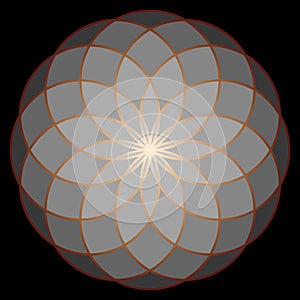 Flower of Life. Sacred Geometry.