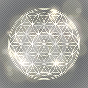 Flower of life. Sacred geometry, vector spiritual symbol.