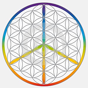 Flower of Life Symbol in Gray Colors, Cosmic Universe Energy Wheel with Peace and Love Symbol