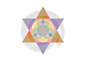 Flower of Life symbol Metatron Merkaba Sacred Geometry. Colorful logo icon. Geometric mystic star of alchemy esoteric Seed of life