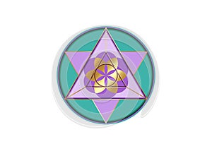 Flower of Life symbol Metatron Merkaba Sacred Geometry. Gold and purple Logo icon Geometric mystic mandala alchemy esoteric sign