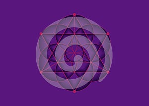 Flower of Life symbol Metatron Merkaba Sacred Geometry. Logo icon Geometric mystic mandala of alchemy esoteric Seed of life vector