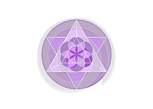 Flower of Life symbol Metatron Merkaba Sacred Geometry. Purple Logo round icon. Geometric mystic mandala of alchemy esoteric Seed