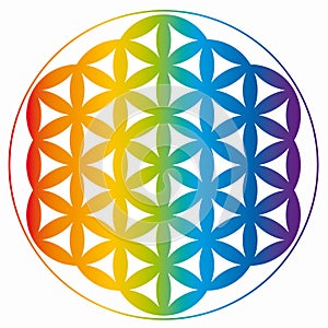 Flower of Life Symbol in Rainbow Colors, Cosmic Universe Energy Wheel