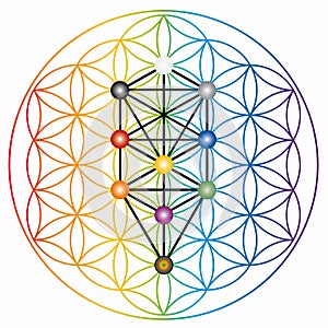 Flower of Life Symbol in Rainbow Colors, Cosmic Universe Energy Wheel, Tree of Sephiroth, Kabbalah