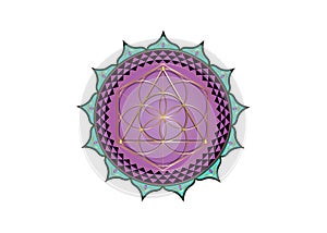 Flower of Life symbol Sacred Geometry. Colorful Lotus round Logo icon Geometric mystic mandala of alchemy esoteric Seed of life