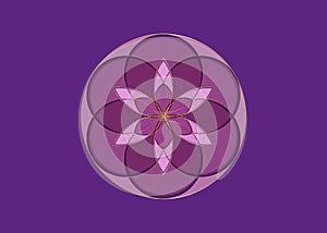 Flower of Life symbol Sacred Geometry. Gold Geometric mystic mandala of alchemy esoteric colorful Seed of Life in shade of purple