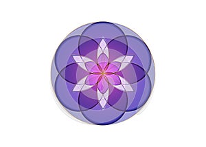 Flower of Life symbol Sacred Geometry. Gold Geometric mystic mandala of alchemy esoteric colorful Seed of Life in shade of purple