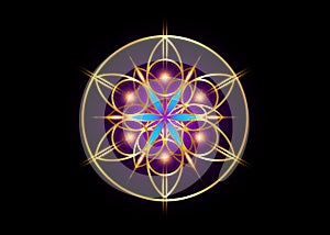 Flower of Life symbol Sacred Geometry. Gold luxury Logo icon round geometric mystic blue lotus mandala of alchemy esoteric Seed