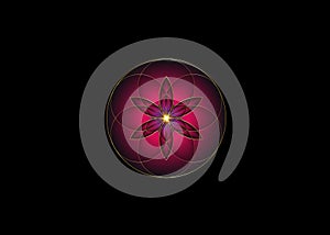 Flower of Life symbol Sacred Geometry. Gold luxury Logo icon round geometric mystic purple mandala of alchemy esoteric sign