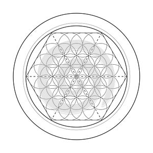 Flower Of Life symbol. Sacred geometry illustration