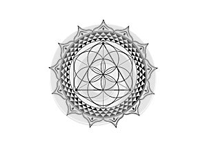 Flower of Life symbol Sacred Geometry. Lotus round Logo icon  Geometric mystic mandala of alchemy esoteric Seed of life. Vector