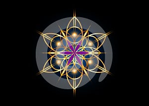Flower of Life symbol Sacred Geometry. Shiny Gold luxury Logo icon round geometric mystic purple mandala of alchemy esoteric Seed