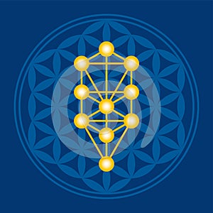 Flower of Life in Tree of Life illustration