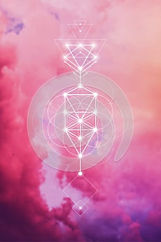 Flower of life. Tree of life. Sacred geometry spiritual new age futuristic illustration