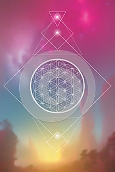 Flower of life. Tree of life. Sacred geometry spiritual new age futuristic illustration