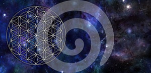 Flower of Life Universe Background