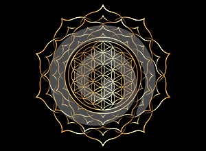 Flower of Life, Yantra Mandala in the golden lotus flower, Sacred Geometry, Metatron cube. Bright luxury symbol of harmony sign