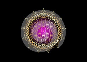 Flower of Life, Yantra Mandala in the lotus flower, Sacred Geometry. Bright golden luxury symbol of harmony and balance. Mystical