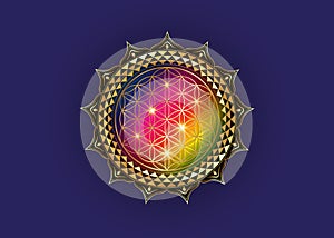 Flower of Life, Yantra Mandala in the lotus flower, Sacred Geometry. Bright golden luxury symbol of harmony and balance. Mystical