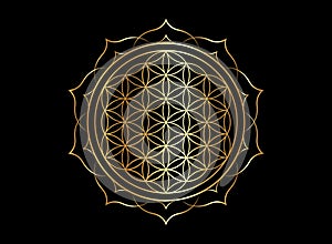 Flower of Life, Yantra Mandala in the lotus flower, Sacred Geometry. Bright golden symbol of harmony and balance. Mystic gold sign