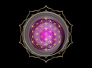 Flower of Life, Yantra Mandala in the lotus flower, Sacred Geometry. Bright golden symbol of harmony and balance. Mystic gold sign