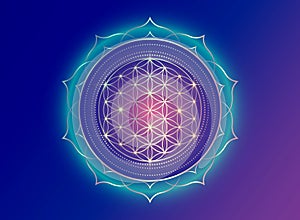 Flower of Life, Yantra Mandala in the lotus flower, Sacred Geometry. Bright golden symbol of harmony and balance. Mystic gold sign