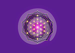 Flower of Life, Yantra Mandala in the lotus flower, Sacred Geometry. Bright golden symbol of harmony and balance. Mystical sign