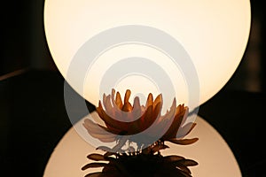 Flower with light