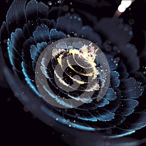 Flower light Bloom Fractal Art