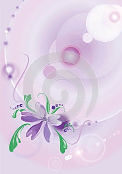 Flower on a lilac background