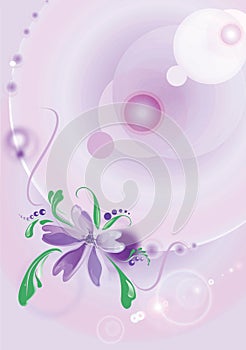 Flower on a lilac background photo